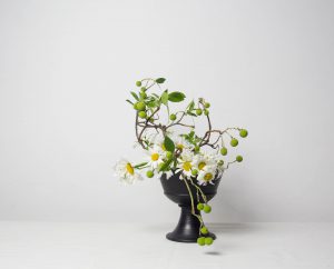 What if we invented ikebana?